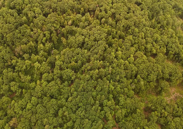 2nd image of 000 Burt Hill Rd, Winchester, NH 03455 | MLS# 5100318