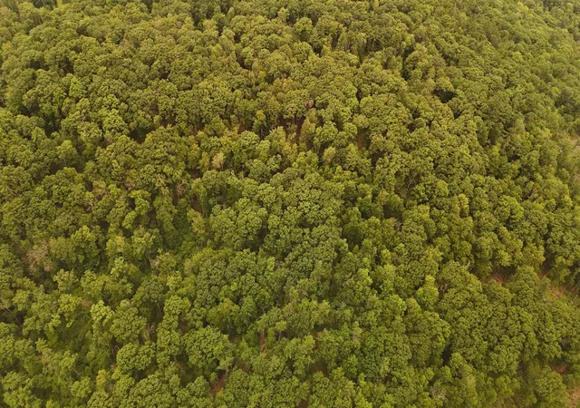 Photo 3 of Land for sale at 000 Burt Hill Rd, Winchester, NH 03455 | MLS# 5100318 | Listing updated on 2026-09-11