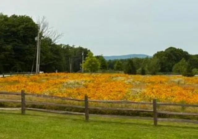 Photo 1 of Land for sale at 14a 16 4 Ashby Rd, New Ipswich, NH 03071 | MLS# 5100359 | Listing updated on 2026-07-19