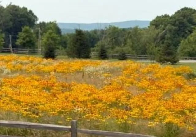 Photo 2 of Land for sale at 14a 16 4 Ashby Rd, New Ipswich, NH 03071 | MLS# 5100359 | Listing updated on 2026-07-19