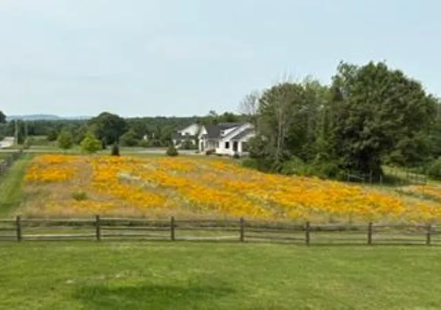 Photo 3 of Land for sale at 14a 16 4 Ashby Rd, New Ipswich, NH 03071 | MLS# 5100359 | Listing updated on 2026-07-19