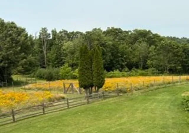 Photo 4 of Land for sale at 14A 16-4 Ashby Rd, New Ipswich, NH 03071 | MLS# 5100359 | Listing updated on 2026-07-19