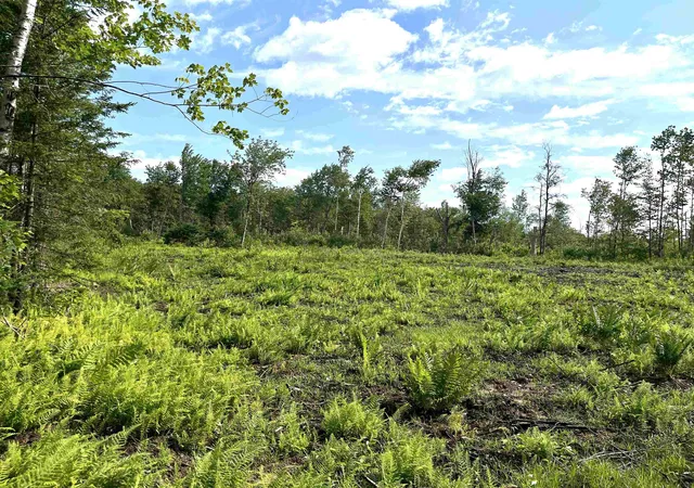 Land for sale at 286 Tranquility Ln, Jay, VT 05859 | MLS# 5100377
