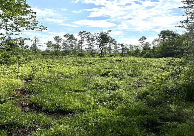 Photo 3 of Land for sale at 286 Tranquility Ln, Jay, VT 05859 | MLS# 5100377 | Listing updated on 2026-07-17