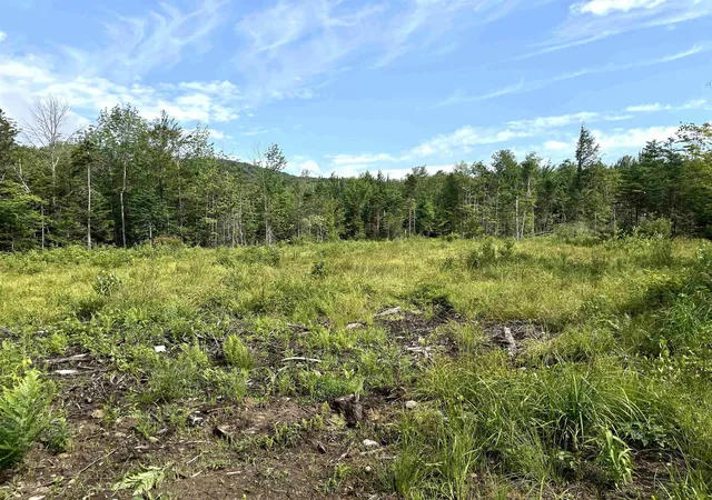 Photo 4 of Land for sale at 286 Tranquility Ln, Jay, VT 05859 | MLS# 5100377 | Listing updated on 2026-07-17