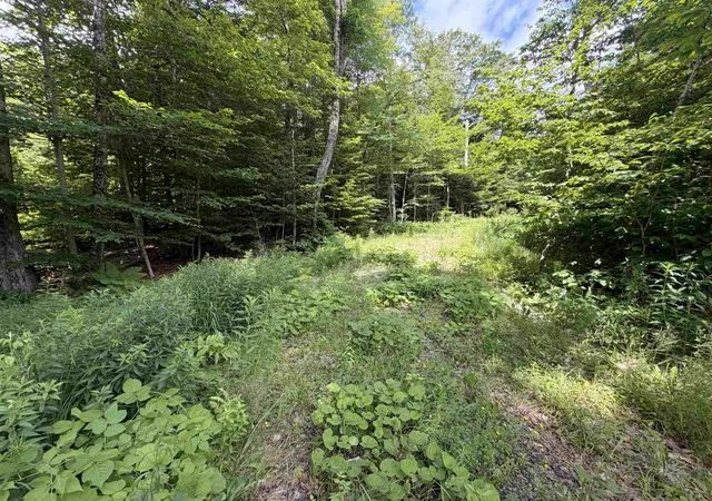Land for sale at 0 Route 100 Route, West Dover, VT 05356 | MLS# 5100378