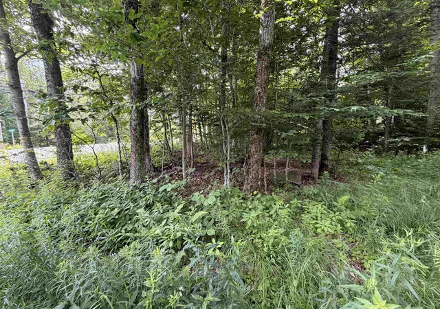 Photo 2 of Land for sale at 0 Route 100 Route, West Dover, VT 05356 | MLS# 5100378 | Listing updated on 2026-07-18