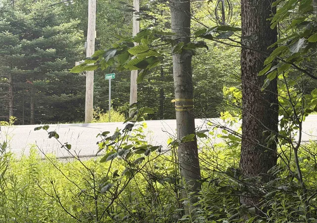 Photo 3 of Land for sale at 0 Route 100 Route, West Dover, VT 05356 | MLS# 5100378 | Listing updated on 2026-07-18