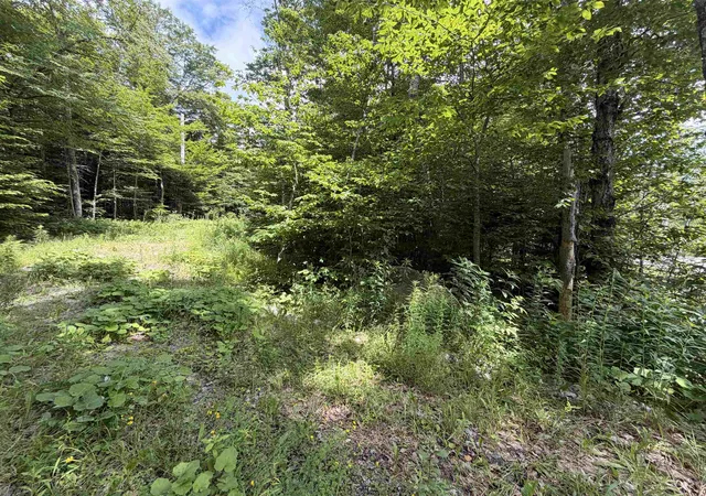 Photo 3 of Land for sale at 0 Route 100 Route, West Dover, VT 05356 | MLS# 5100378 | Listing updated on 2026-07-18