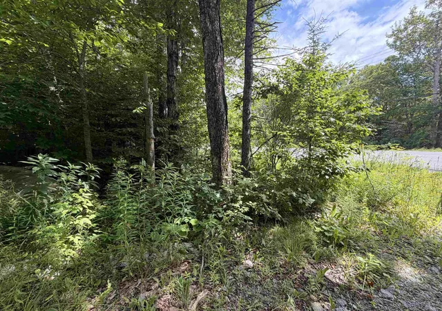 Photo 4 of Land for sale at 0 Route 100 Route, West Dover, VT 05356 | MLS# 5100378 | Listing updated on 2026-07-18