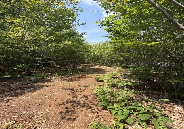 1st image of Map 206 Lot 28 Whittier Rd, Tamworth, NH 03890 | MLS# 5100582
