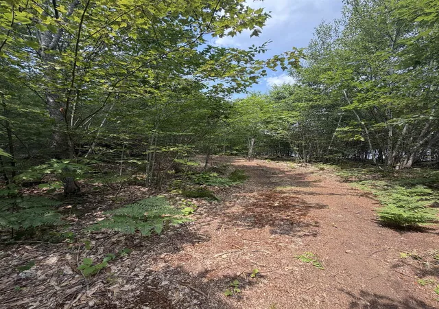 2nd image of Map 206 Lot 28 Whittier Rd, Tamworth, NH 03890 | MLS# 5100582