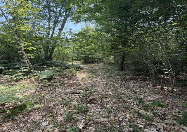 Photo 3 of Land for sale at Map 206 Lot 28 Whittier Rd, Tamworth, NH 03890 | MLS# 5100582 | Listing updated on 2026-09-08