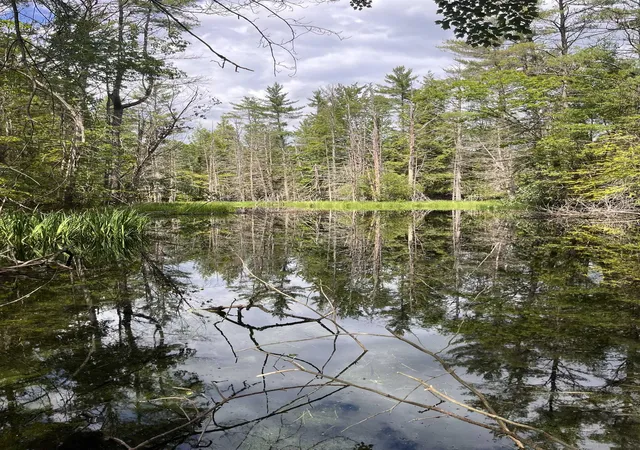2nd image of Map 242 Lot 6 Columbus Jordan Rd, Plainfield, NH 03781 | MLS# 5100618
