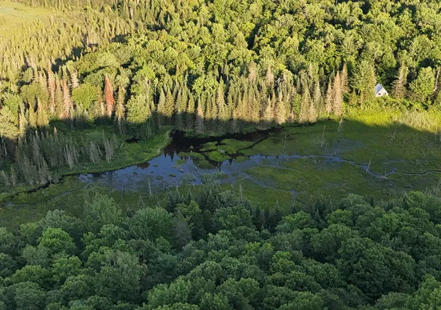 Photo 4 of Land for sale at 805 Cobblestone Trl, Irasburg, VT 05845 | MLS# 5100621 | Listing updated on 2026-09-10