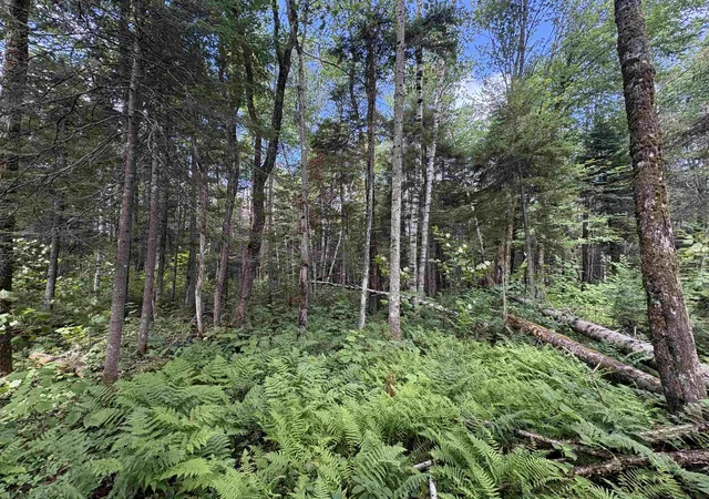 Photo 2 of Land for sale at 0 Newark Rd, Island Pond, VT 05846 | MLS# 5100670 | Listing updated on 2026-08-26