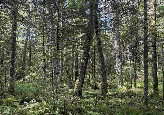 Photo 3 of Land for sale at 0 Newark Rd, Island Pond, VT 05846 | MLS# 5100670 | Listing updated on 2026-08-26