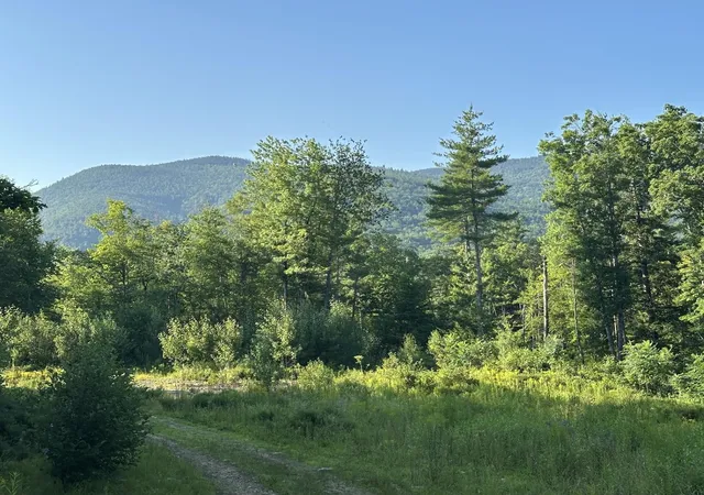 Photo 1 of Land for sale at 00 Bryant Heights Rd, Tamworth, NH 03886 | MLS# 5100695 | Listing updated on 2026-08-22