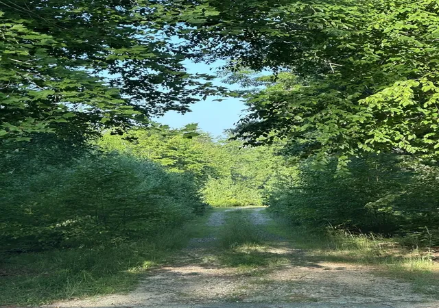 Photo 2 of Land for sale at 00 Bryant Heights Rd, Tamworth, NH 03886 | MLS# 5100695 | Listing updated on 2026-08-22