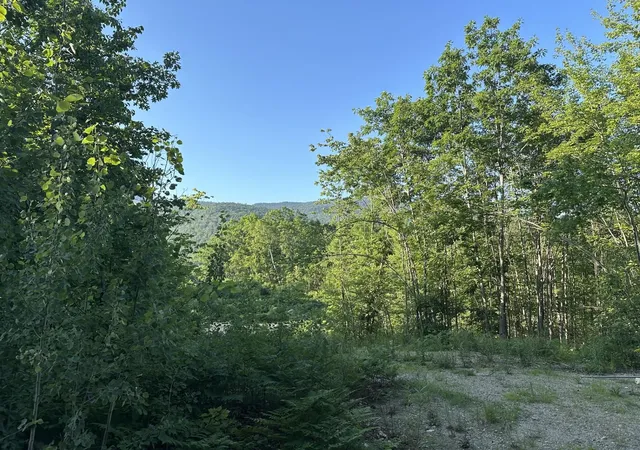 Photo 3 of Land for sale at 00 Bryant Heights Rd, Tamworth, NH 03886 | MLS# 5100695 | Listing updated on 2026-08-22