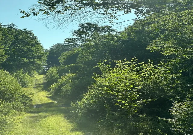 Photo 4 of Land for sale at 00 Bryant Heights Rd, Tamworth, NH 03886 | MLS# 5100695 | Listing updated on 2026-08-22