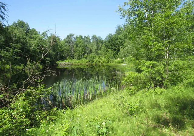 Photo 4 of Single family home for sale at 1239 Baldwin Brook Rd, Wolcott, VT 05868 | MLS# 5100709 | Listing updated on 2026-09-05