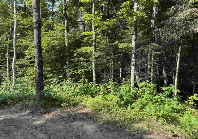 1st image of 0 North Groton Rd, Hebron, NH 03241 | MLS# 5100716