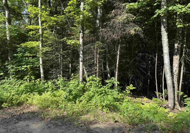 4th image of 0 North Groton Rd, Hebron, NH 03241 | MLS# 5100716