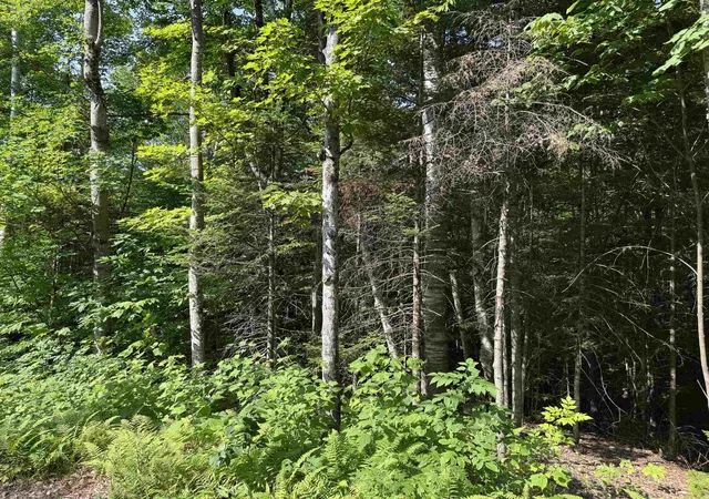 5th image of 0 North Groton Rd, Hebron, NH 03241 | MLS# 5100716