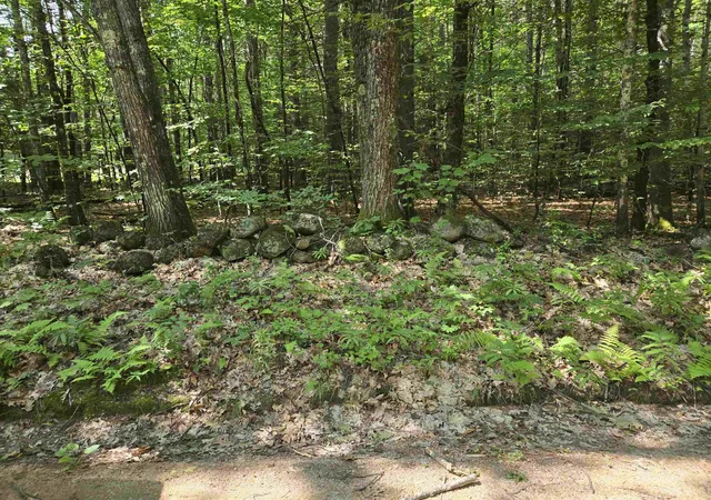 Photo 4 of Land for sale at Lot 26 Davis Hl Rd, Center Conway, NH 03813 | MLS# 5100796 | Listing updated on 2026-10-01