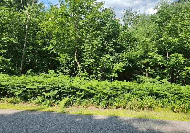 Photo 3 of Land for sale at 40 A River St, Bartlett, NH 03812 | MLS# 5100820 | Listing updated on 2026-08-28