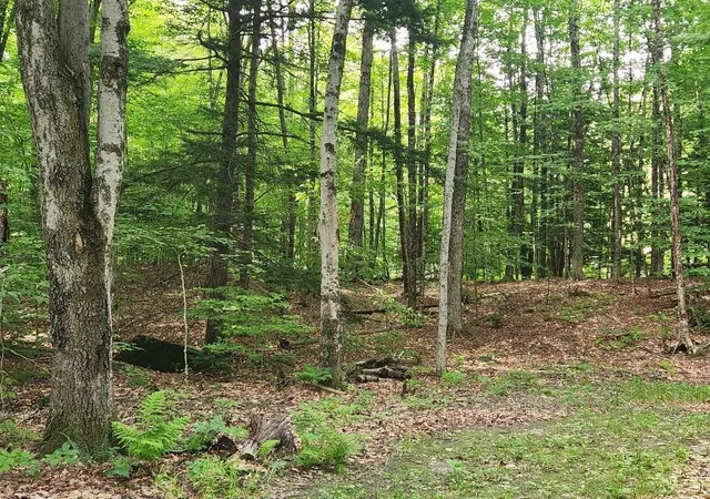 1st image of 0 Beechwood Dr, Cornish, NH 03745 | MLS# 5100878