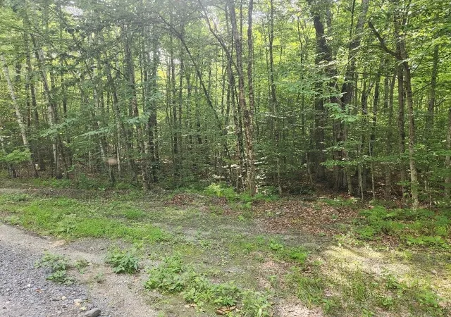 2nd image of 0 Beechwood Dr, Cornish, NH 03745 | MLS# 5100878