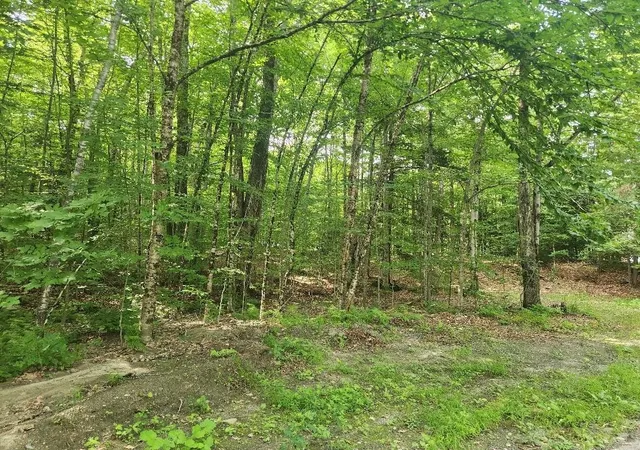 3rd image of 0 Beechwood Dr, Cornish, NH 03745 | MLS# 5100878