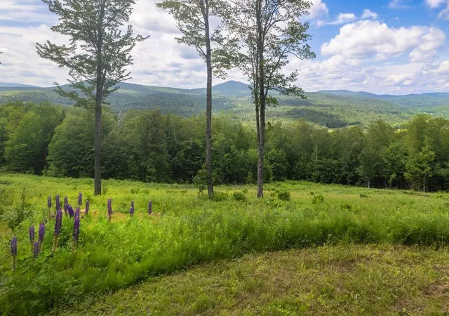 Photo 1 of Land for sale at 00 Markham Ln, Weston, VT 05161 | MLS# 5100894 | Listing updated on 2026-07-21