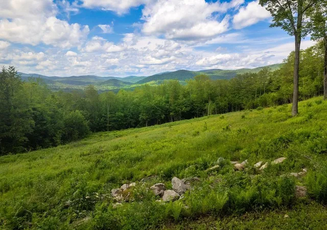 Photo 3 of Land for sale at 00 Markham Ln, Weston, VT 05161 | MLS# 5100894 | Listing updated on 2026-07-21