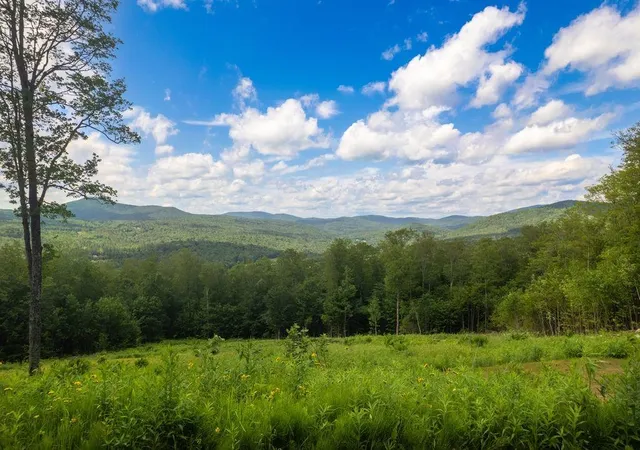 Photo 4 of Land for sale at 00 Markham Ln, Weston, VT 05161 | MLS# 5100894 | Listing updated on 2026-07-21