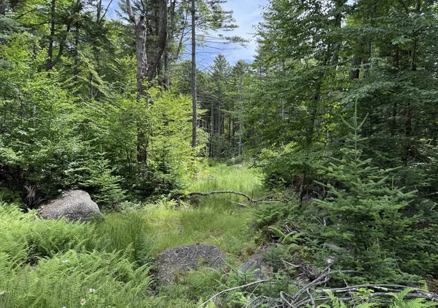 1st image of 14 74 Grant Rd, Washington, NH 03280 | MLS# 5100907