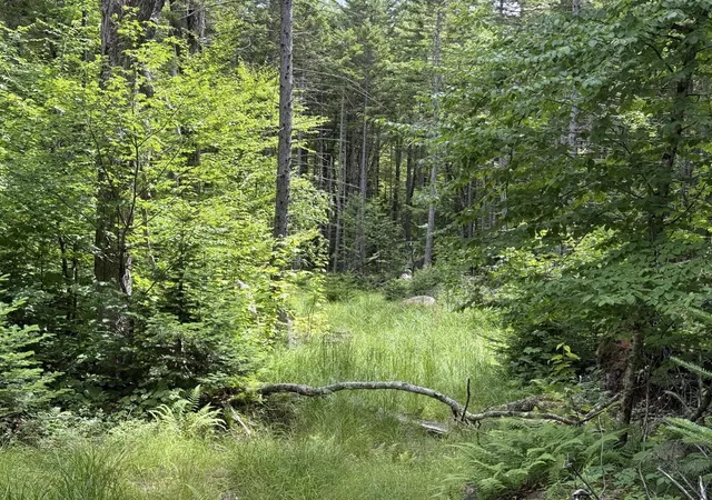 2nd image of 14 74 Grant Rd, Washington, NH 03280 | MLS# 5100907