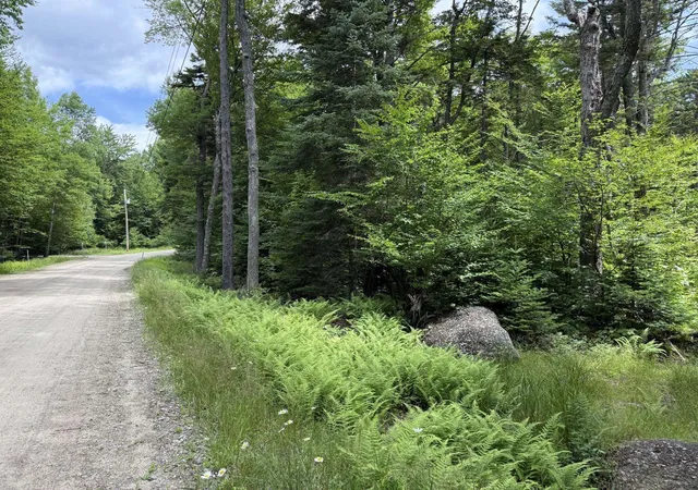 4th image of 14-74 Grant Rd, Washington, NH 03280 | MLS# 5100907