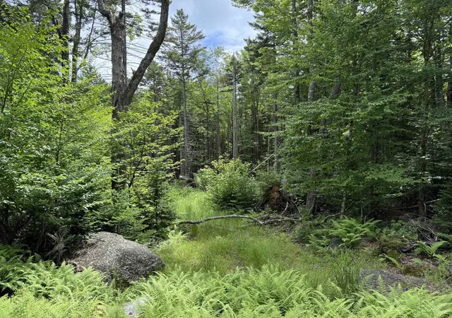 5th image of 14 74 Grant Rd, Washington, NH 03280 | MLS# 5100907