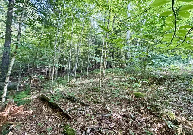 3rd image of Lee Brook Rd, Thornton, NH 03285 | MLS# 5100952