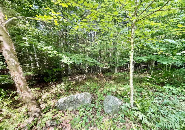 4th image of Lee Brook Rd, Thornton, NH 03285 | MLS# 5100952