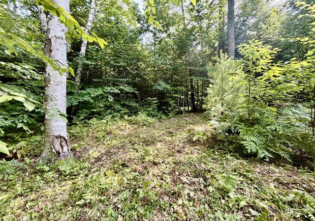 5th image of Lee Brook Rd, Thornton, NH 03285 | MLS# 5100952