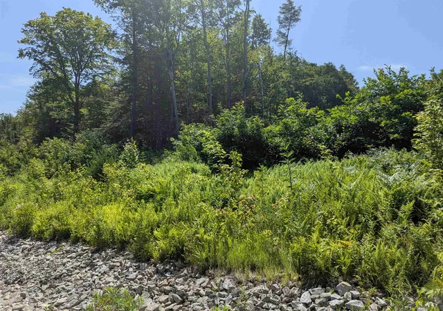 3rd image of 1 Boulder Point Dr, Plymouth, NH 03264 | MLS# 5100958