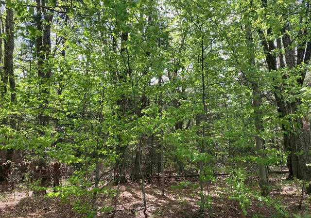 Photo 1 of Sale Pending at Lot 118 High Top Rd, Wilmington, VT 05363 | MLS# 5101005 | Listing updated on 2026-09-02
