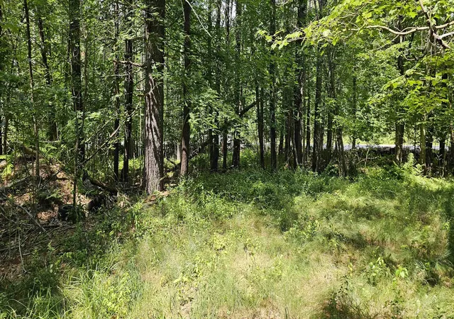 Land for sale at 492 Moultonboro Neck Rd, Moultonborough, NH 03254 | MLS# 5101023