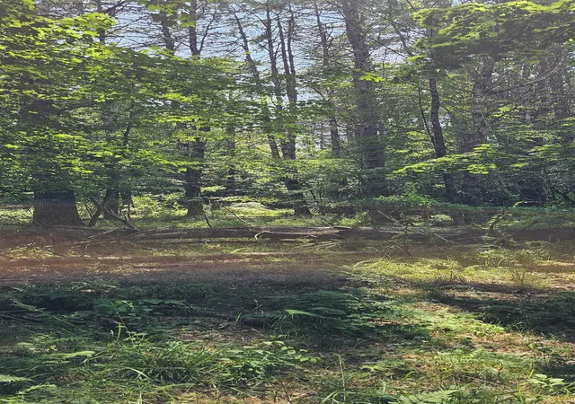 Photo 3 of Land for sale at 492 Moultonboro Neck Rd, Moultonborough, NH 03254 | MLS# 5101023 | Listing updated on 2026-08-20