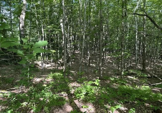 Photo 3 of Land for sale at 000 Marton Rd, Windsor, VT 05089 | MLS# 5101039 | Listing updated on 2026-09-18