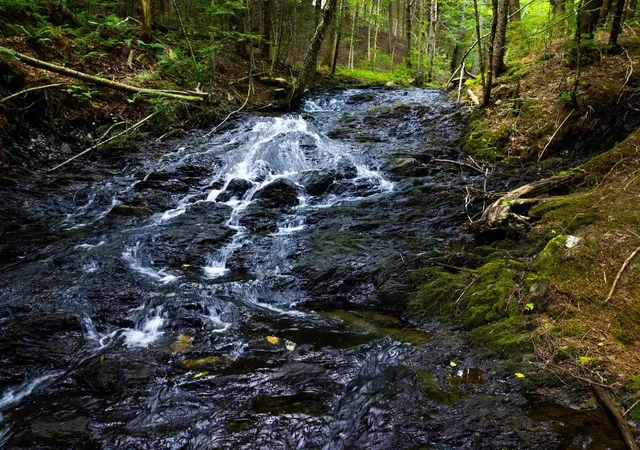 Photo 1 of Land for sale at Tbd Wilder Rd, Duxbury, VT 05660 | MLS# 5101056 | Listing updated on 2026-08-04